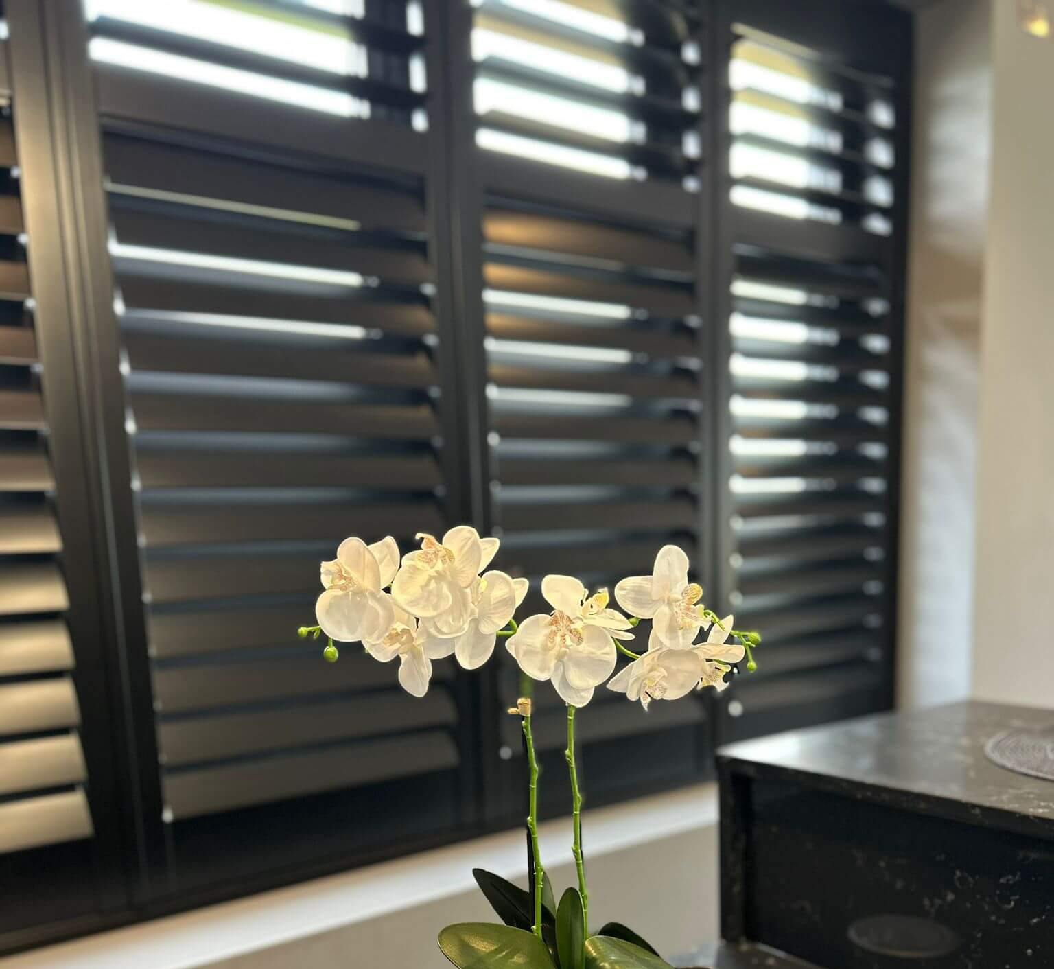 Black Window Shutters