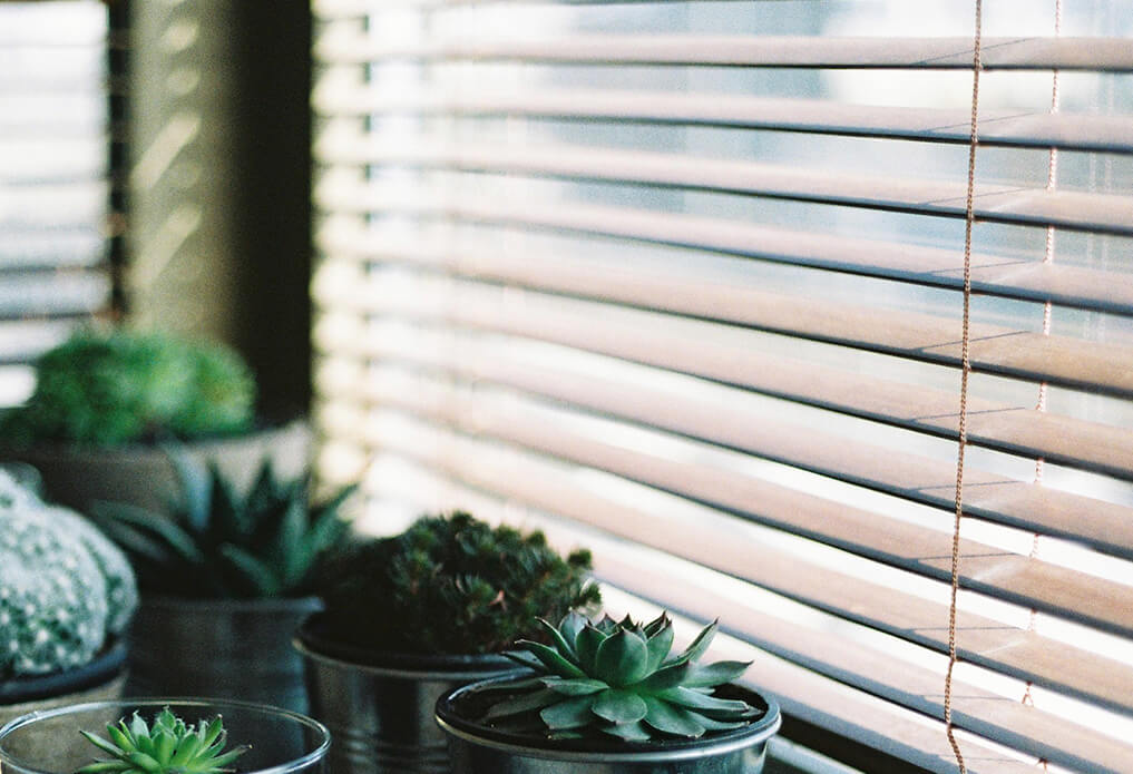 blinds