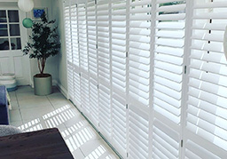 lifestyle shutters