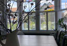 lifestyle shutters