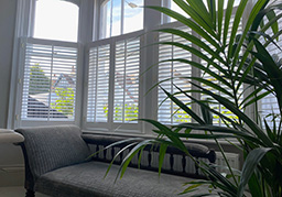 lifestyle shutters