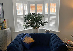 lifestyle shutters