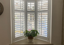 lifestyle shutters