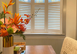lifestyle shutters