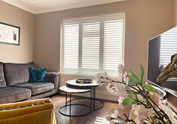 lifestyle shutters